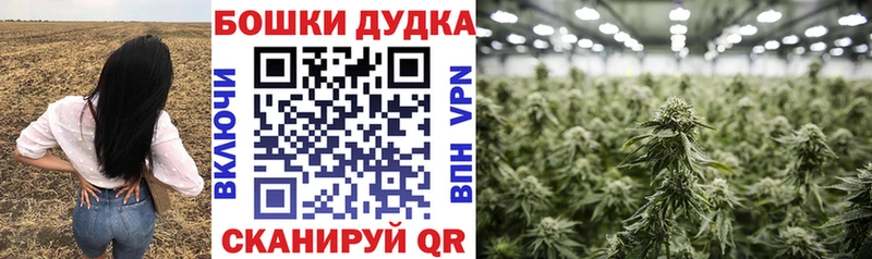 Где продают наркотики Яранск Гашиш  КОКАИН  блэк спрут зеркало  КЕТАМИН  Конопля  ГЕРОИН  Мефедрон 