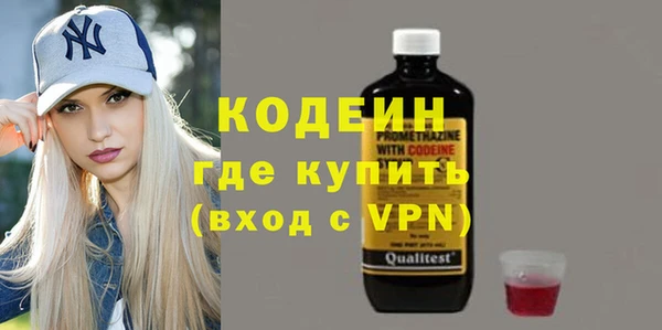 индика Баксан