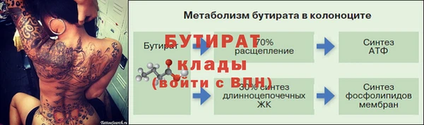 индика Баксан