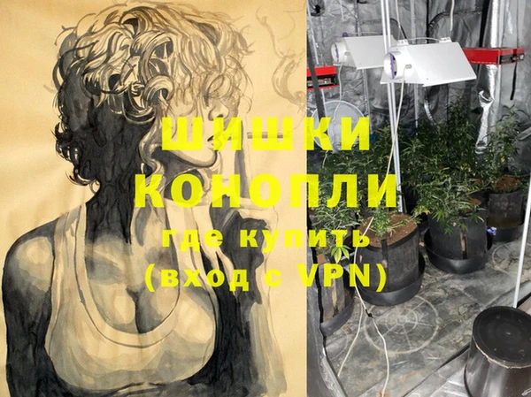 индика Баксан