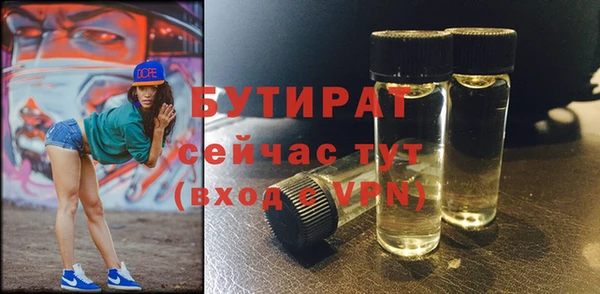 индика Баксан