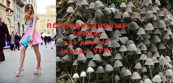 индика Баксан